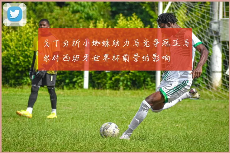 戈丁分析小蜘蛛助力马竞争冠亚马尔对西班牙世界杯前景的影响